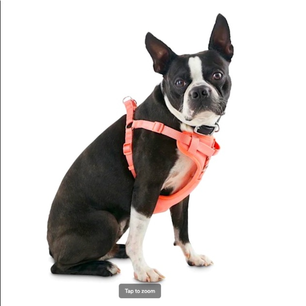 NWOT Good2Go Pink Padded Step-in Dog Harness, Small.